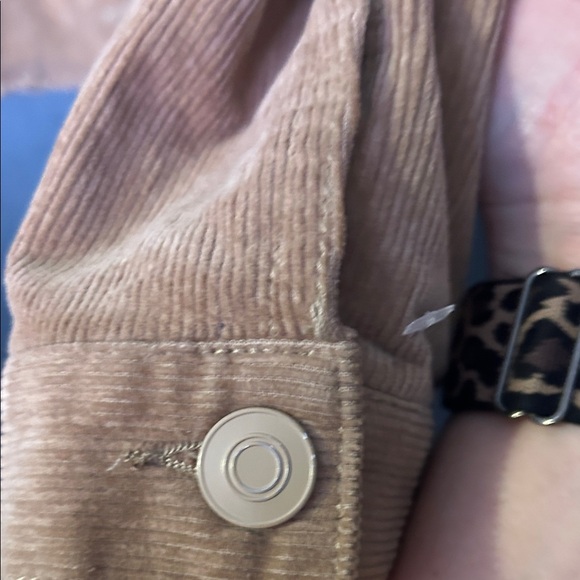 Windsor Beige Corduroy Cropped Jacket - Picture 6 of 7